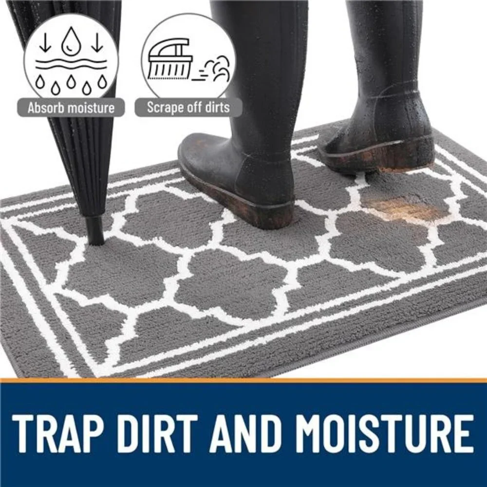 Indoor Door Mat, Resist Dirt and Absorbent Entrance Mat, Anti-Slip, Low Profile